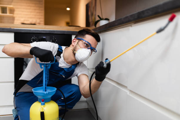 Best Affordable Pest Control Services  in Sun City West, AZ