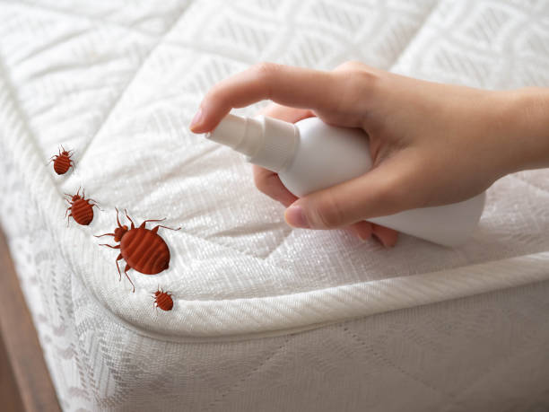 Pest Control Cost in Sun City West, AZ